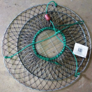 Dominator Marron Net Rigged