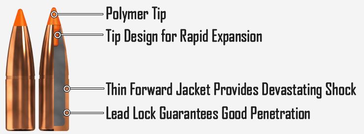 Norma 9.3 x 62 - 255Gr Tip Strike